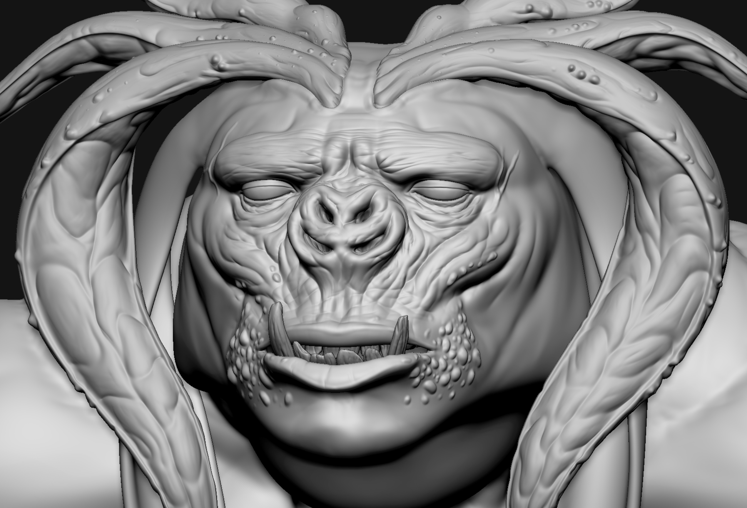 eyelids.01